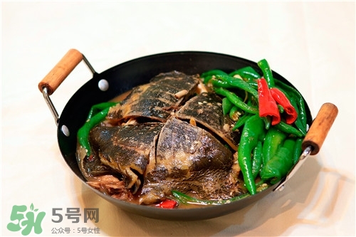 甲魚湯是涼性的嗎？甲魚湯的禁忌人群