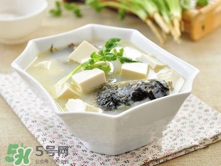 孕婦鯽魚湯可以放姜嗎？孕婦鯽魚湯能放料酒嗎？
