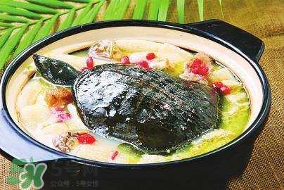 甲魚湯下奶嗎？下奶的食物有哪些？