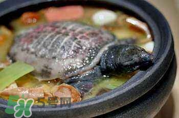 產(chǎn)婦能吃甲魚(yú)嗎？產(chǎn)婦能吃甲魚(yú)湯嗎？