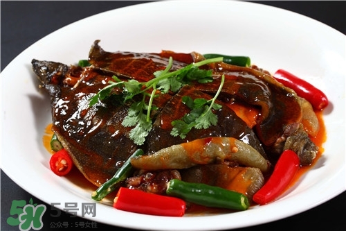 甲魚湯是涼性的嗎？甲魚湯的禁忌人群