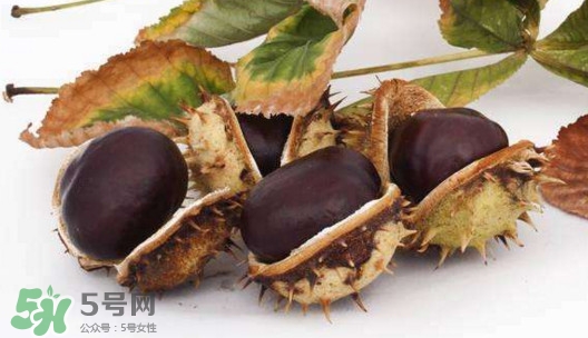 板栗殼怎么好剝？怎樣剝板栗殼最快