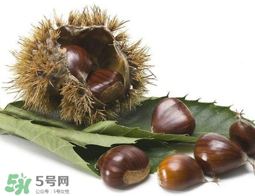 板栗殼里面的皮能吃嗎？板栗殼有什么作用
