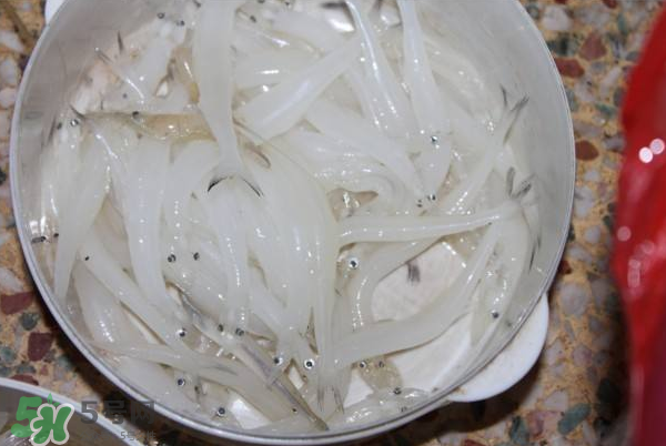 大銀魚多少錢一斤？大銀魚怎么洗？
