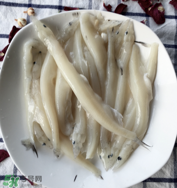 大銀魚多少錢一斤？大銀魚怎么洗？