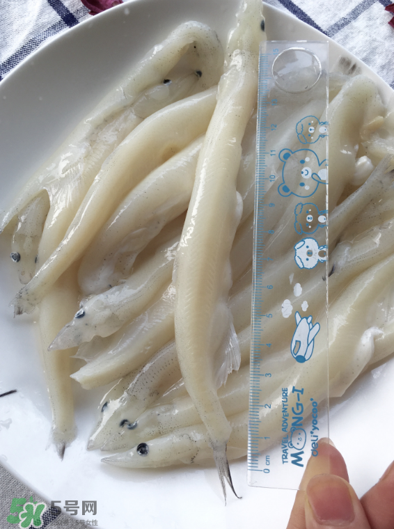 大銀魚多少錢一斤？大銀魚怎么洗？