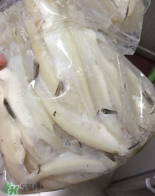 銀魚可以煲粥嗎？銀魚可以包餃子嗎？