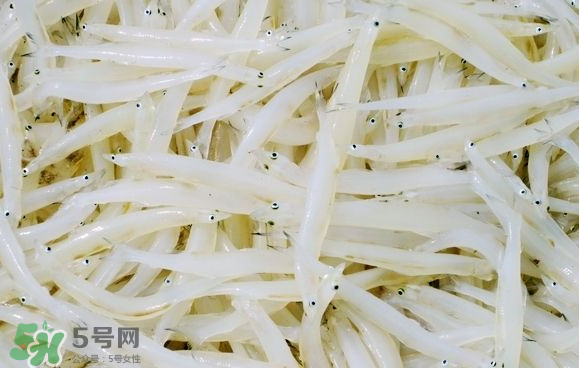 銀魚可以煲粥嗎？銀魚可以包餃子嗎？