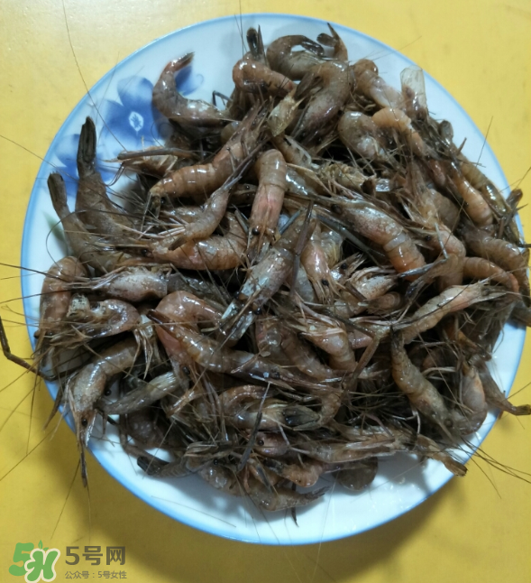 河蝦是發(fā)物嗎？河蝦是不是發(fā)物？