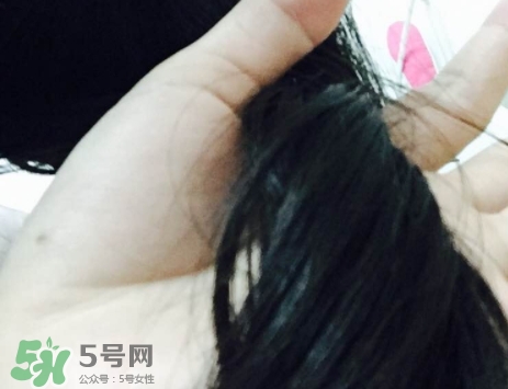 歐萊雅護(hù)發(fā)精油哪款好？歐萊雅護(hù)發(fā)精油和愛茉莉精油對比
