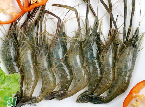 河蝦是海鮮嗎？河蝦屬于海鮮嗎？