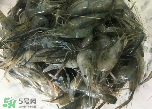 河蝦是基圍蝦嗎？河蝦是辛辣食物嗎？