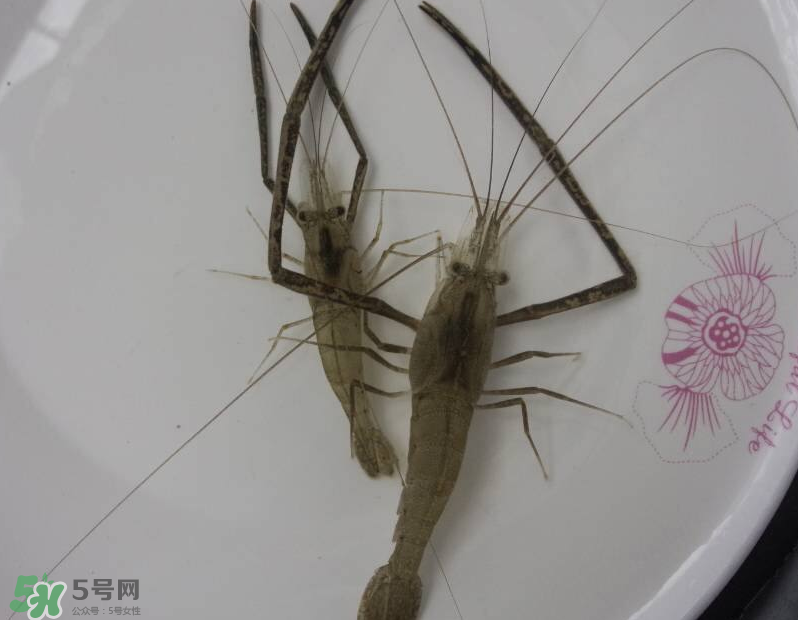 河蝦可以和牛奶同食嗎？河蝦和牛奶能一起吃嗎？