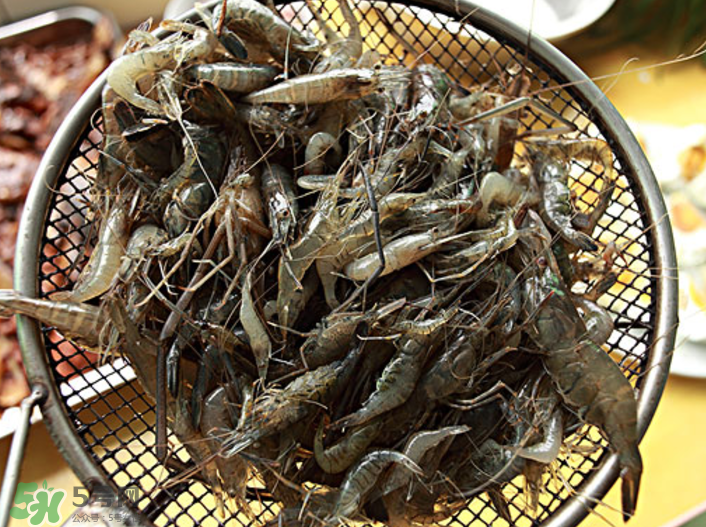 河蝦可以吃頭嗎？蝦頭到底能不能吃？