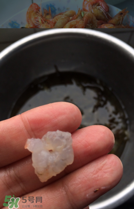 河蝦可以放冰箱嗎？河蝦在冰箱能放幾天？
