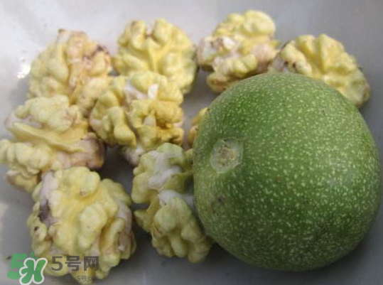 鮮核桃熱量高嗎？鮮核桃的熱量是多少？