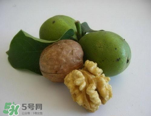 鮮核桃和干核桃哪個更有營養(yǎng)？鮮核桃和干核桃哪個營養(yǎng)價值高？