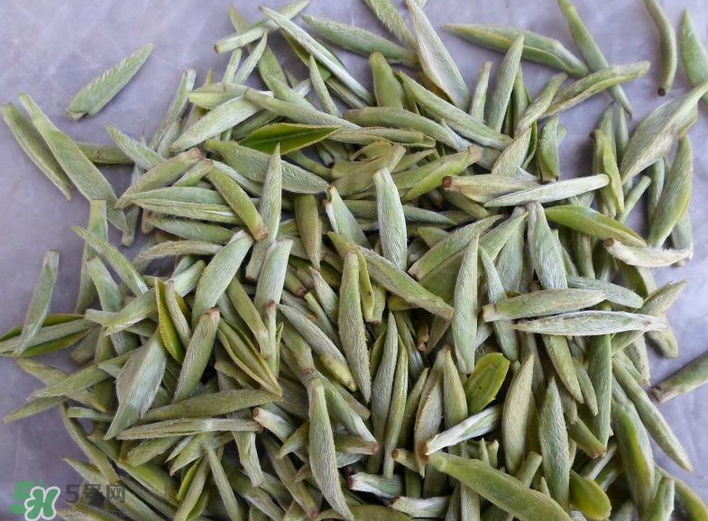 白毫銀針屬于綠茶嗎？白毫銀針是什么茶？