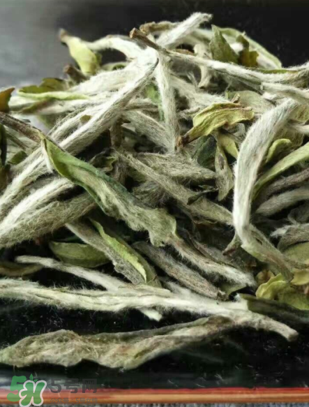 白毫銀針的產(chǎn)地在哪個(gè)省？白毫銀針是哪里產(chǎn)的？