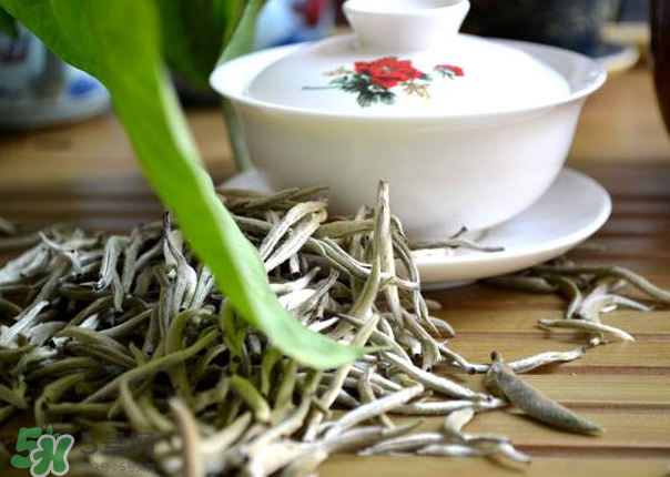 白茶需要洗茶嗎？白茶是洗還是不洗？