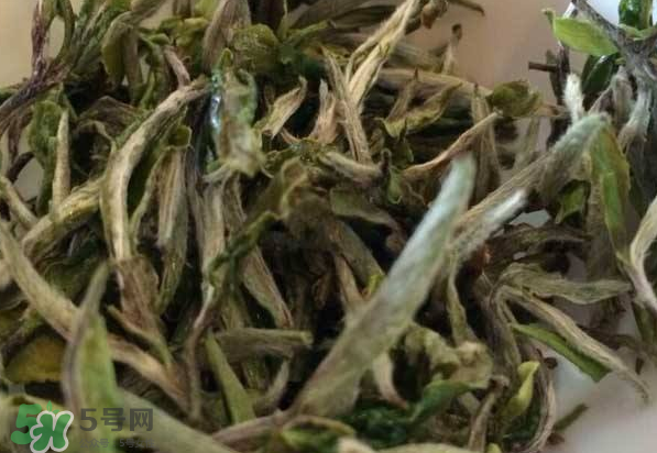 白茶需要洗茶嗎？白茶是洗還是不洗？