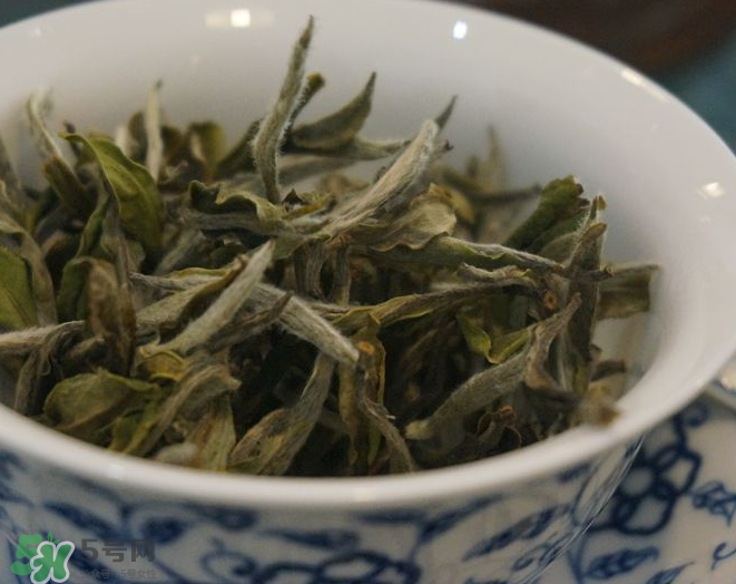 白茶需要洗茶嗎？白茶是洗還是不洗？