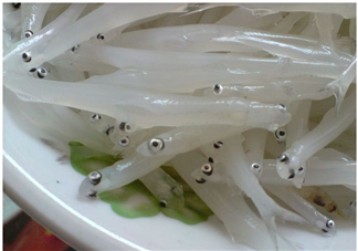 銀魚怎么保存？銀魚可以放在冰箱冷凍保存嗎？