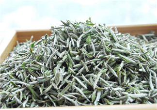 白毫銀針的產(chǎn)地在哪個(gè)省？白毫銀針是哪里產(chǎn)的？