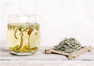 白毫銀針屬于綠茶嗎？白毫銀針是什么茶？