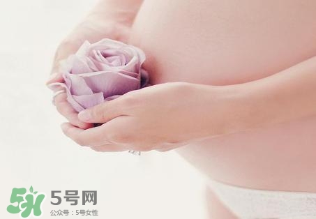 青刺果油能去妊娠紋嗎？青刺果油的功效與作用