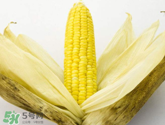 九月份能種玉米嗎？玉米九月份還可以種嗎？