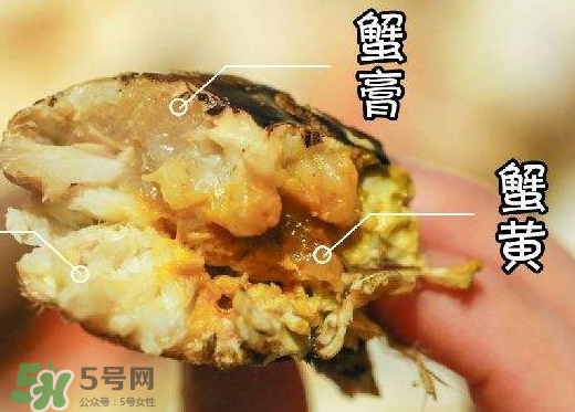 蟹黃是黑色的怎么回事？蟹黃中間有黑的是什么？