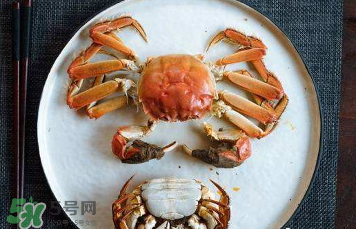 啤酒蒸大閘蟹好吃嗎？啤酒蒸大閘蟹怎么吃？