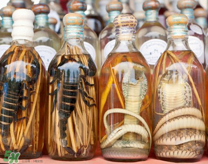 毒蛇泡酒有毒嗎？毒蛇泡酒能喝嗎？