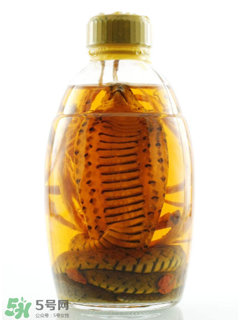 毒蛇泡酒有毒嗎？毒蛇泡酒能喝嗎？