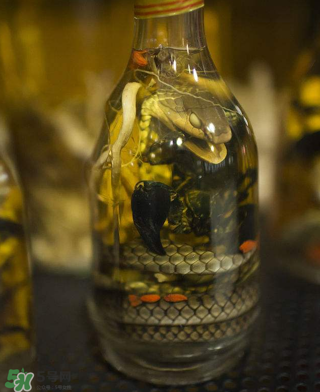 毒蛇泡酒有毒嗎？毒蛇泡酒能喝嗎？