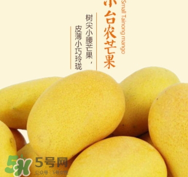 臺農(nóng)芒果多少錢一斤？臺農(nóng)芒果為什么叫臺農(nóng)芒果