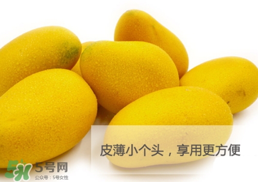 臺農(nóng)芒果多少錢一斤？臺農(nóng)芒果為什么叫臺農(nóng)芒果