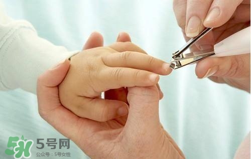 寶寶多大可以剪指甲？寶寶剪指甲的正確方法