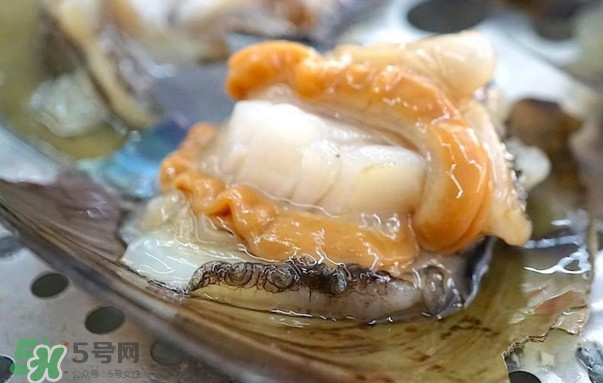 帶子哪里不能吃？帶子有什么營養(yǎng)價(jià)值
