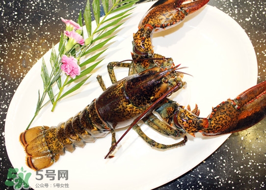 波士頓龍蝦頭能吃嗎？波士頓龍蝦哪里不能吃