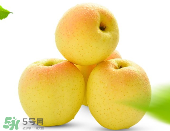王林蘋果什么時(shí)候成熟？王林蘋果的營(yíng)養(yǎng)價(jià)值