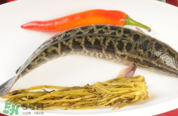 黑魚(yú)和草魚(yú)哪個(gè)好吃？黑魚(yú)不適合什么人吃