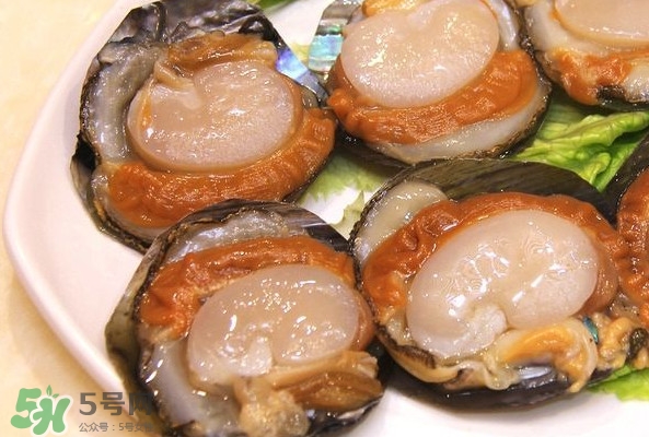 帶子是什么海鮮？帶子是什么東西