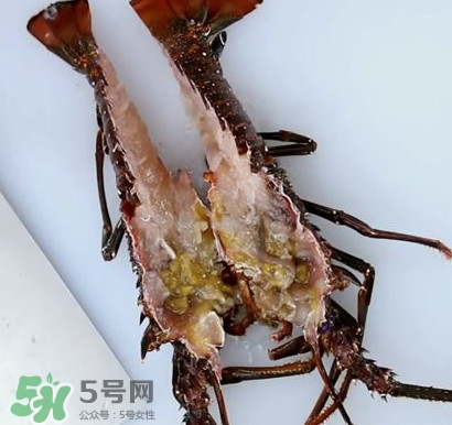 4斤的波士頓龍蝦多少錢(qián)？波士頓龍蝦怎么處理