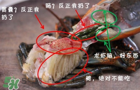 波士頓龍蝦頭能吃嗎？波士頓龍蝦哪里不能吃