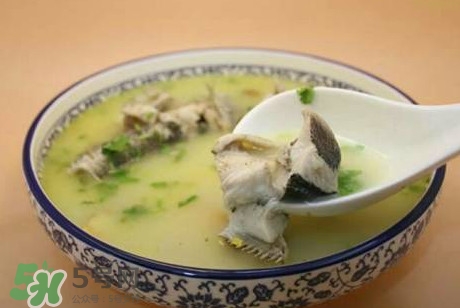黑魚(yú)湯下奶嗎？黑魚(yú)湯是下奶還是回奶