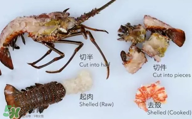 波士頓龍蝦有多大？波士頓龍蝦怎樣去殼