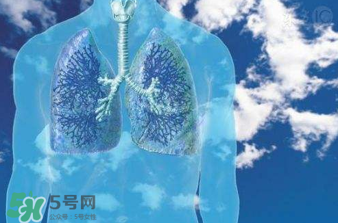 秋季如何護(hù)肺？秋季護(hù)肺小妙招