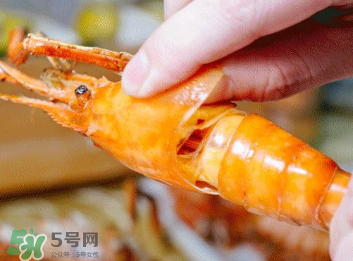 大頭蝦怎么做好吃？大頭蝦怎么處理？